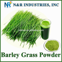 Low Prices of Barley grass powder for Feed Animal for Sale